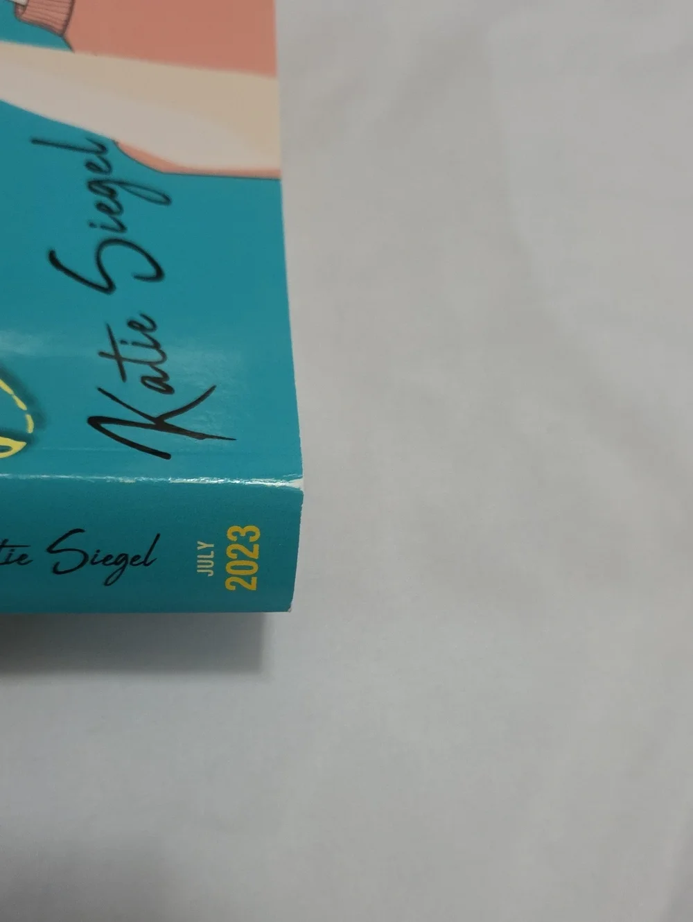 Charlotte Illes Is Not a Detective by Katie Siegel